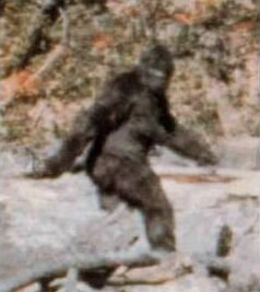 Alleged Bigfoot