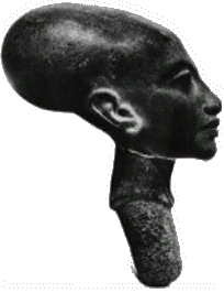 elongated skull