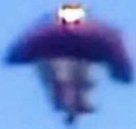 Flying Humanoid