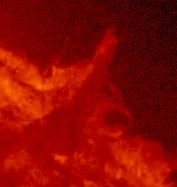 Helioviewer