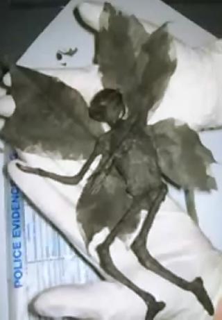 Winged Humanoid