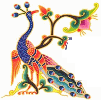 Bird of Paradise