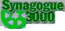 Synagogue 3000